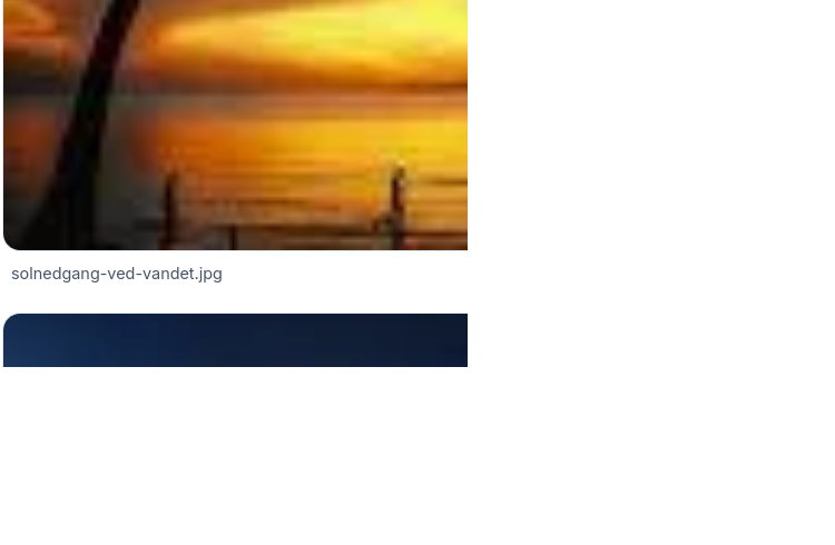 DelMinder galleri med godkendte billeder fra et event